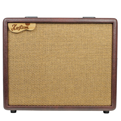 Acoustic Guitar Amplifier